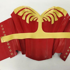 May include: A red and gold corset. The corset has a red base with gold detailing on the top and a gold belt. The sides are detailed with eyelets for lacing. A striking piece of clothing.