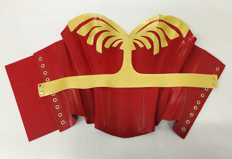 May include: A red and gold corset. The corset has a red base with gold detailing on the top and a gold belt. The sides are detailed with eyelets for lacing. A striking piece of clothing.