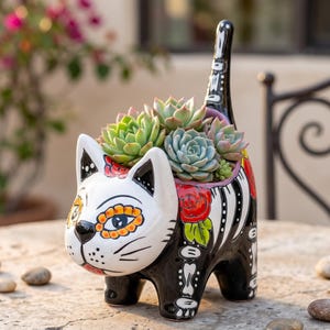May include: A ceramic cat-shaped planter featuring a black and white body with painted red roses and bone motifs. The cat has a stylised face with orange and yellow eye markings and a tall, upright tail. It is filled with green succulents.