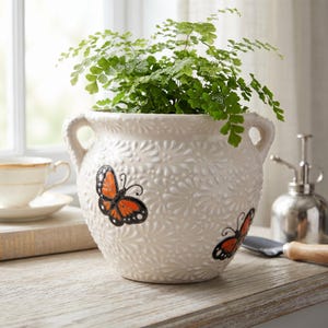 May include: A cream-colored ceramic planter with two side handles and a textured floral pattern. The exterior features two painted orange and black monarch butterflies. A green fern plant is potted inside the round, wide-mouthed vessel.