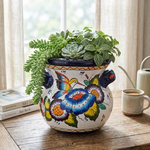 May include: A round ceramic planter with two side handles, featuring a hand-painted design of a colorful hummingbird and large blue and yellow flowers on a white speckled background, filled with a variety of green succulents and foliage.