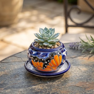May include: A round ceramic planter with a glossy dark blue finish, featuring a hand-painted orange and black butterfly wing pattern. The planter sits on a matching blue saucer and contains a light green succulent plant nestled in small pebbles.
