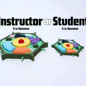 Plant Cell Model for Classrooms, Homeschool, Teachers, & STEM Camps and Events with Individual Organelles (3D Printed)