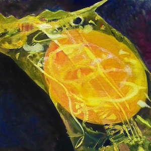 Oil Painting - Butterscotch Candy