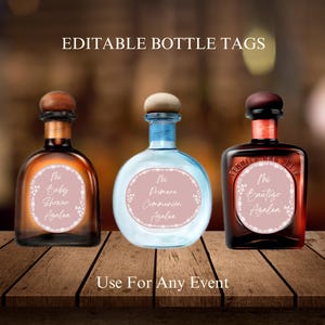 Mexicaanse talavera-fleslabels, Cielito Lindo-feestartikelen (digitale download)