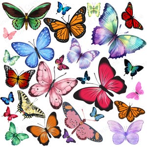Printable Beautiful Butterflies In Living Color PNG, Colorful Butterflies Designs for Patterns, Crafts & Sublimation, Digital Download