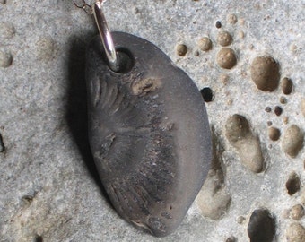 Natural Surf Tumbled Fossil Pendant Sterling Silver Necklace