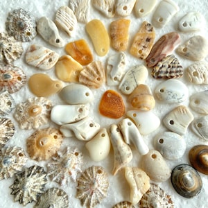 May include: A collection of various seashells in shades of white, tan, and orange, each with a small hole for stringing. The shells vary in shape and texture, creating a natural, organic aesthetic. Ideal for jewelry making or coastal decor.
