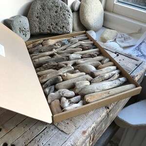 46 Chunky Driftwood Pieces Natural Surf Tumbled Sea Beach Wood Art and Craft Supplies Souvenir Home Accent Home Decor and Crafts image 6