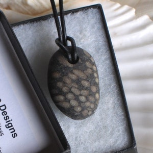 Natural Surf Tumbled Fossil Pendant Necklace image 5