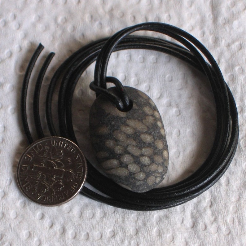 Natural Surf Tumbled Fossil Pendant Necklace image 3