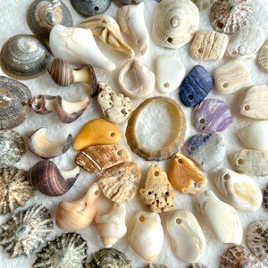 May include: A selection of diverse seashells in white, brown, tan, and purple hues. The shells are of different shapes and sizes, some with holes for threading. The collection includes spiral, flat, and rounded shells, ideal for crafts or seaside decoration.