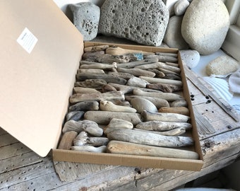 46 Chunky Driftwood Pieces Natural Surf Tumbled Sea Beach Wood Art and Craft Supplies Souvenir Home Accent Home Decor and Crafts