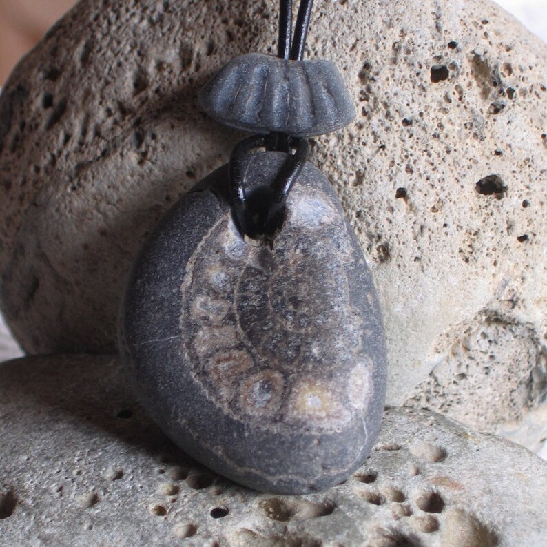 Natural Surf Tumbled Large Ammonite Fossil Pendant Necklace image 2