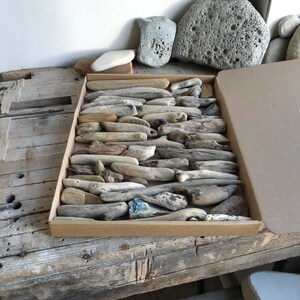 46 Chunky Driftwood Pieces Natural Surf Tumbled Sea Beach Wood Art and Craft Supplies Souvenir Home Accent Home Decor and Crafts image 5