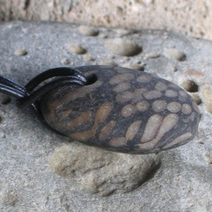 Natural Surf Tumbled Fossil Pendant Necklace image 2