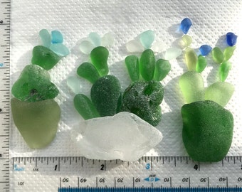 Large Sea Glass Cactus Plants Natural Surf Tumbled Beach Glass Art Mosaic and Craft Supplies For Your Creative Designs Some Rare Colours