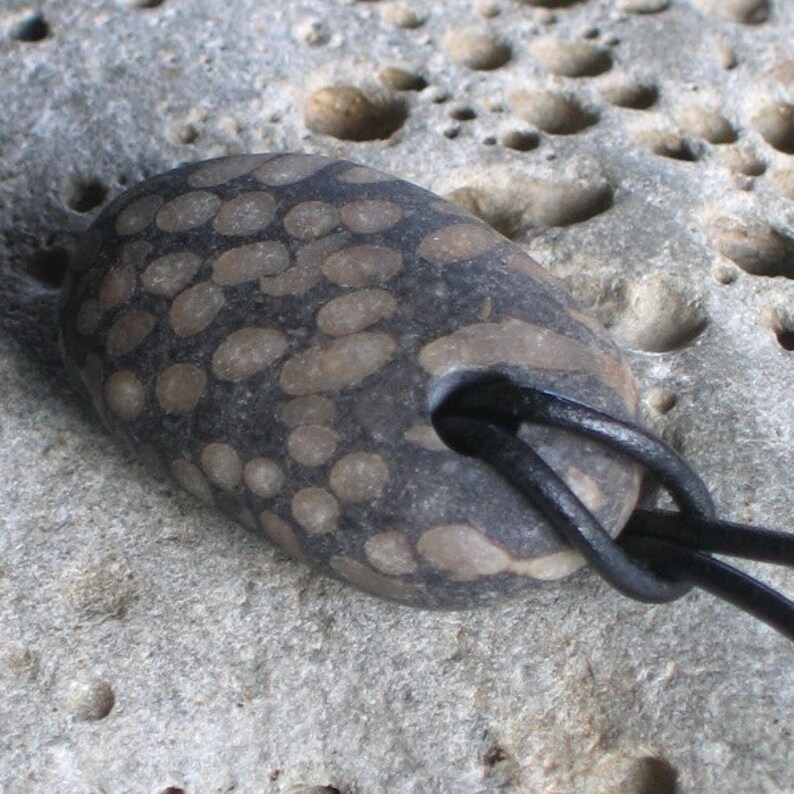 Natural Surf Tumbled Fossil Pendant Necklace image 1