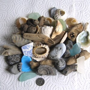 May include: A collection of seashells, driftwood, and sea glass in various colors and shapes. The items are arranged on a white surface with a white and blue patterned design.