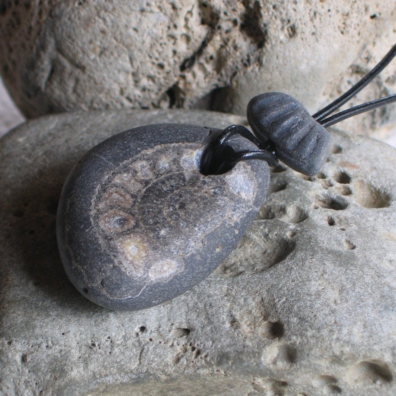 Natural Surf Tumbled Large Ammonite Fossil Pendant Necklace image 1