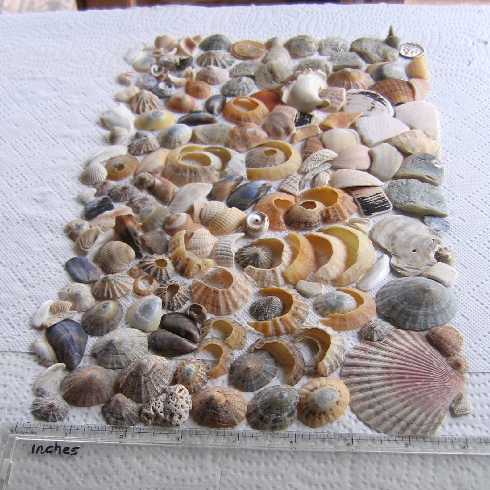 My Image 67