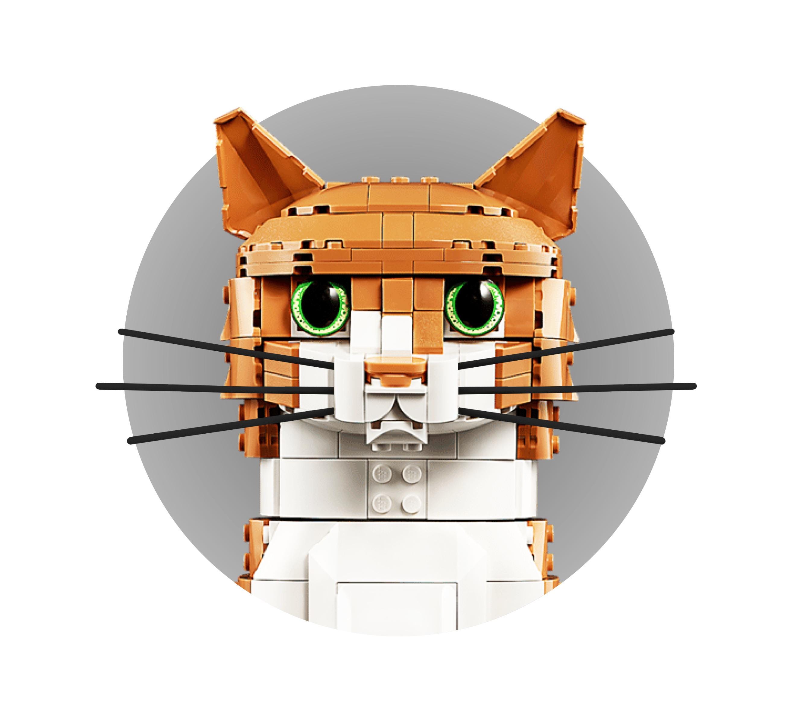 3D Printed Whiskers for LEGO® Tuxedo Cat 21349 / Orange Cat 21376
