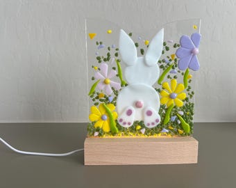Garden Peekaboo - with Light-up Stand