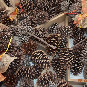 May include: A close-up of a collection of pine cones, some with burlap and plaid ribbon bows, arranged in a wooden tray. The pine cones are various sizes and shades of brown.