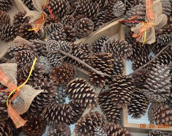 May include: A close-up of a collection of pine cones, some with burlap and plaid ribbon bows, arranged in a wooden tray. The pine cones are various sizes and shades of brown.