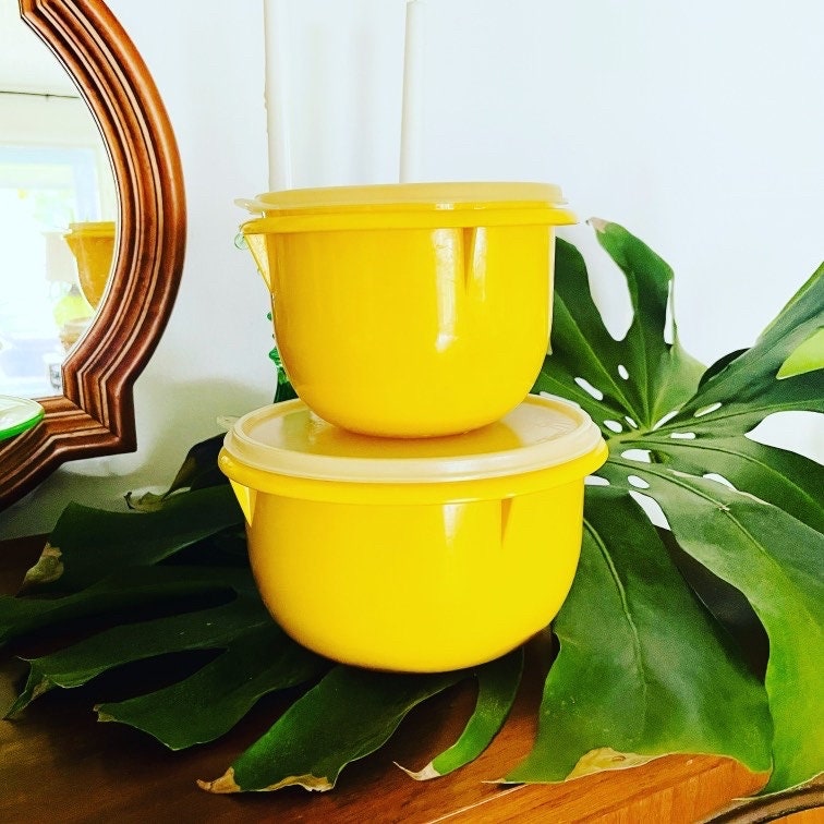 Bowls Vintage Set of 2 Tupperware Mix and Store Bowls With Lids 