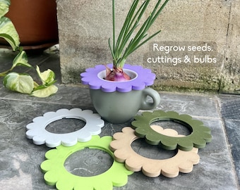 Mason Jar Sprouter Flower Attachment | Decoratief inlegstuk voor bollen, zaden en keukenafval
