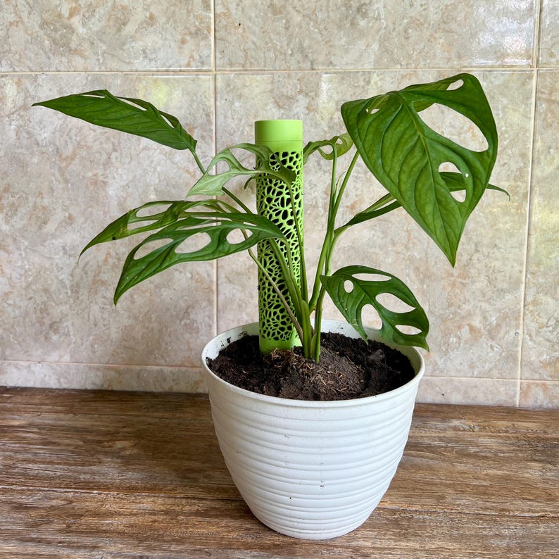 つる植物用ボロノイ苔支柱｜モジュール式植物サポート 画像 14