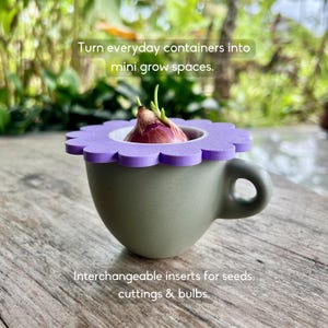 Couvercle de germoir pour pot Mason | Kit de démarrage pour avocat, oignons nouveaux, bulbes et restes de cuisine