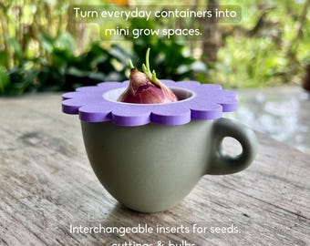 Deksel van Mason Jar-spruitstuk | Startergroeiset voor avocado, lente-uitjes, bollen en keukenresten