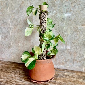 Moss Pole | 3D Printed Eco PLA Voronoi Plant Support for Monstera, Pothos & Climbing Plants – by PureLayer