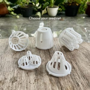 Insert en filet pour germoir pour pot Mason | Insert de rechange pour la repousse des avocats, des oignons nouveaux, de la mangue, des restes de cuisine et plus