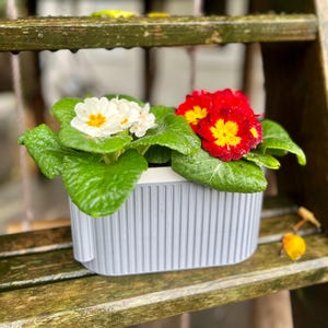Vaso autoirrigável – Banheira - Vaso impresso em 3D com reservatório removível e divisórias, PLA sustentável