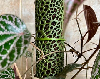 Voronoi-mosstok voor klimplanten | Modulaire plantensteun
