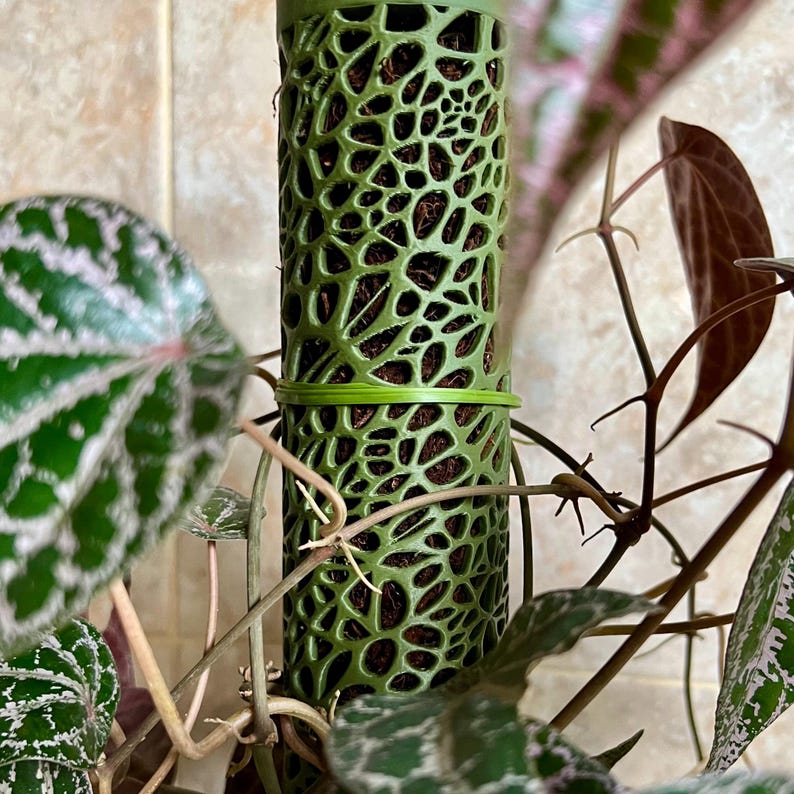 つる植物用ボロノイ苔支柱｜モジュール式植物サポート 画像 1