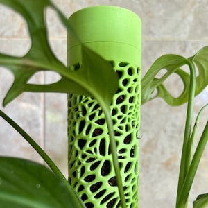 つる植物用ボロノイ苔支柱｜モジュール式植物サポート 画像 4