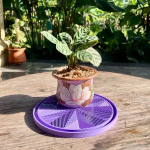 Plant Drip Tray | Star Design | Humidity Tray for Indoor Plants