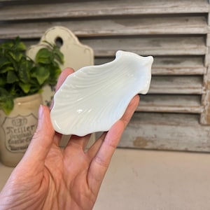 May include: A white, shell-shaped dish with a textured surface. The dish is held in a hand, showcasing its delicate design. The background includes a rustic wooden shutter and a potted plant, suggesting a vintage or coastal theme.