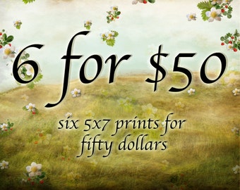 Special Savings - Six 5x7 Giclee Art Prints - Save on Multiple Prints - Any six of my illustrations Small Size