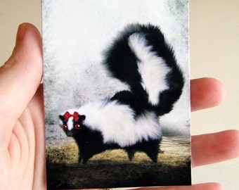 ACEO ATC "Ms. Skunk on Her Own " Little Black and White Skunk - Artists Trading Card Mini Premium Fine Art Print 2.5x3.5 inches