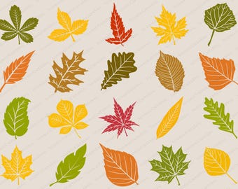 Fall Leaves Svg, Fall svg, Fall leaf svg bundle, Fall png, dxf, clipart, Cut files for Cricut, Glowforge files, Silhouette, Halloween svg