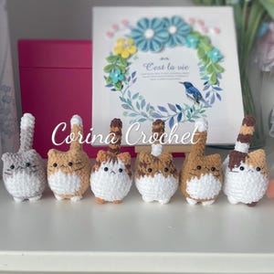 Hand Crochet little mini plushie cat amigurumi