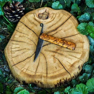 May include: A hand-forged metal knife with a curled tip and a textured, mottled brown wooden handle. The knife is positioned on a large, circular, light-colored wooden log slice featuring prominent dark brown growth rings and radial cracks.