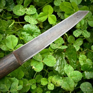 Puede incluir: Primer plano de un cuchillo largo y delgado de metal con mango de madera. La hoja es afilada y tiene una ligera curva. El cuchillo est&aacute; sobre un lecho de tr&eacute;bol verde.