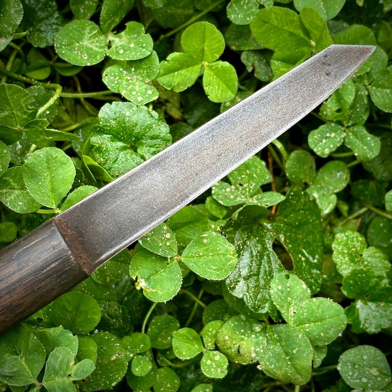 Puede incluir: Primer plano de un cuchillo largo y delgado de metal con mango de madera. La hoja es afilada y tiene una ligera curva. El cuchillo est&aacute; sobre un lecho de tr&eacute;bol verde.