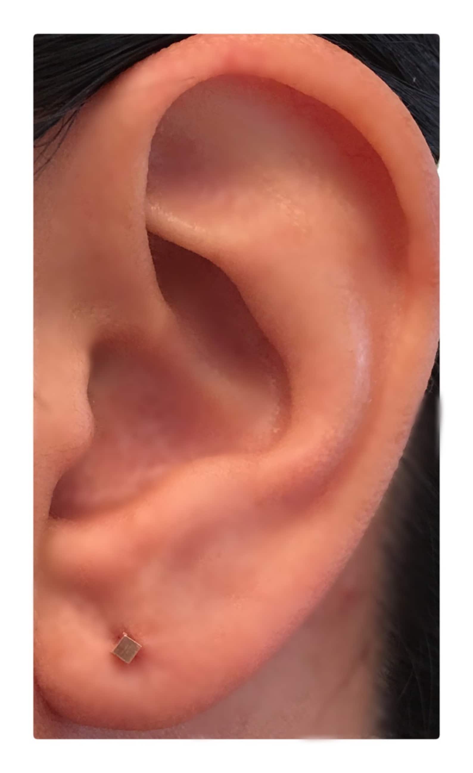 Men's Stud Earrings Men's Earrings Studs Tiny Rose Etsy